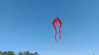 HQ Kites Pyro Delta XL Kites