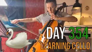Day 354 learning cello : The Swan by Saint-Saëns