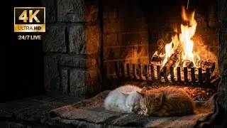 Cozy Fireplace with Sleeping Cats 🔥🐱 | Warm Night Ambience for Deep Sleep & Relaxation (4K LIVE)