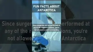 What people do to work in Antarctica! #shorts #funfacts #antarctica