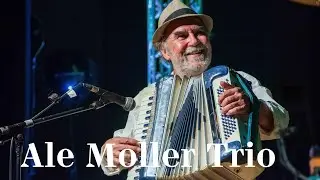 Illern & Generalens visa - Ale Moller Trio performing at Kala Academy Goa 2025