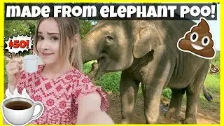 Trying Elephant Poo Coffee (The Rarest Coffee in the World)