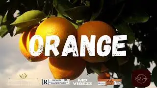 [FREE] Davido x Fido x Ruger x Kizz Daniel x Rema Type Beat | 