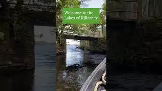 Embark on a serene journey through the enchanting Lakes of Killarney.
