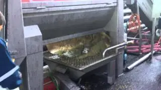 Despalilladora Marca Enoveneta Modelo Top 40 (40 tons x hora)