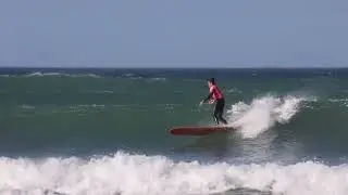 Shark Swims Through Line Up during Cobbles Classic Longboard event