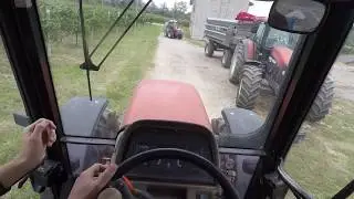 CABVIEW | *FIRST IN ITALY* | Grape transport | New holland M130 + dumper feltrina | Soldera
