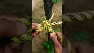 Nice 👍 New knot #knot #knotskill#campinghacks #knotting#campingknots #rope#campingtips