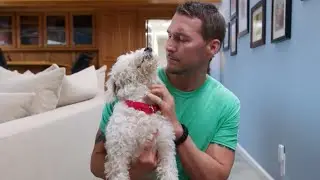 Brandon McMillan Saves a Deaf Dog