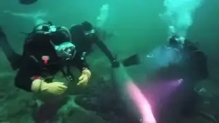 Diving with Sea Lions at Hornby Island