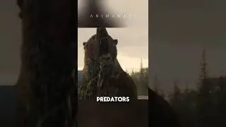 3 Most dangerous predators of Pleistocene Era