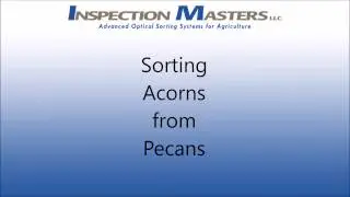 Sort acorns form pecans