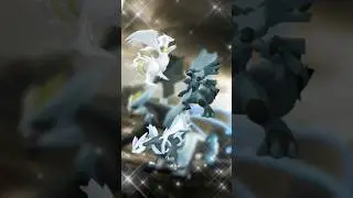 KYUREM FUSION RAID DAY! #pokemongo #shinypokemon #shinykyurem #shinyzekrom #shinyreshiram #shorts