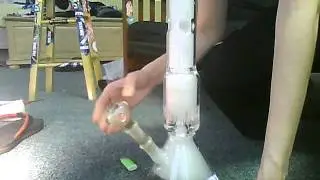 Beaker bottom with Sixteen Arm Tree Perculator