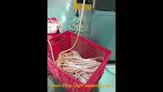 Neon Strip Light assembly line