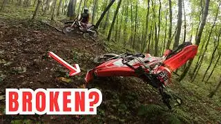 We are not welcome: Enduro Battles in the Forest | Beta RR390 X-Pro