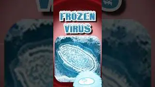 Может ли замороженный вирус Plague Inc. на самом деле появиться?