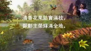 20 赞美真神