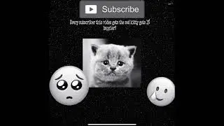 Every sub makes kitty 1% happier!!#sub#helpkitty#sadkitten#reals#fyp#help#plssub