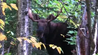 Isle Royale September 2013