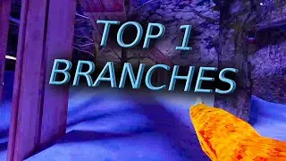 What TRUE Top 1 Branches looks like... (read desc)