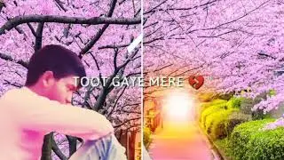 Kar gai kyun bewafai saath thee bas ye tanhai