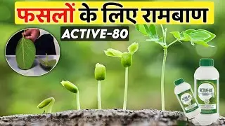 Modicare Active 80 Benefits | Live Demo Proof | How to Use Active 80