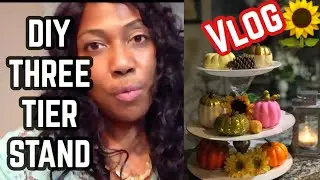 VLOG /DIY THREE TIER STAND/Restaurant Review / store run
