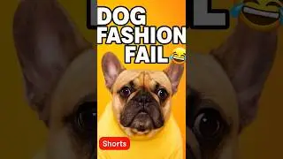 Dog Fashion Fail 😂🐶 | Funniest Dog Reactions Ever!|#Shorts:#FunnyDog #DogComedy #DogShorts #PetFails