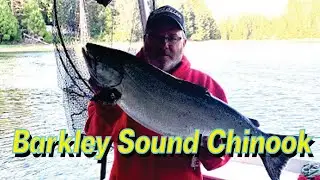 Barkley Sound Chinook