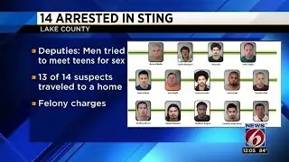 14 arrested in Lake County sting, deputies say