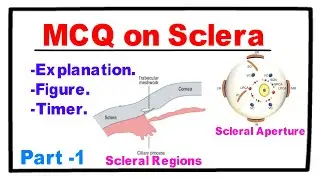 MCQ on Sclera - Part 1