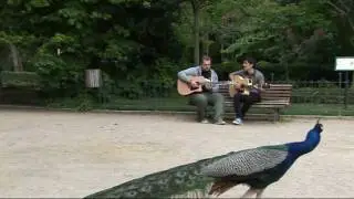 Ac&uacute;stico de eLe De eMe de su single 'Galway'