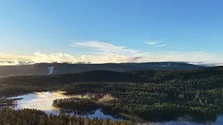 A beautiful December evening in the Norwegian forest