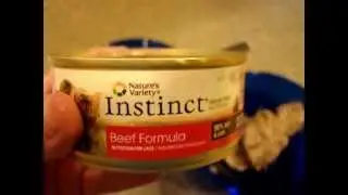 Nature's Variety Instinct Canned Cat Food Beef Review - ねこ - ラグドール - Floppycats