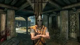 Then I Took An Arrow In The Knee