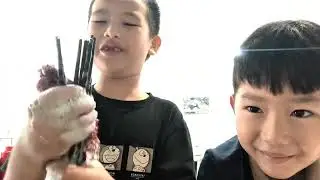 Ng&agrave;y thứ 9 rửa b&aacute;t c&ugrave;ng Happy food v&agrave; bạn Ng&ocirc; 🥕🍅🍎
