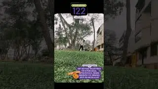 #moveeveryday dia 122 #extra&ntilde;oalburrin #parkour #parkourlife #parkourperu #parkourlima #webadas #xd