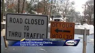Tree falls on woman clearing snow in Sudbury, MA