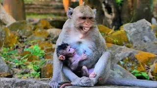Hilarious Baby Jiva With Mommy Jazzy All the Time 😂 | AmberTroop