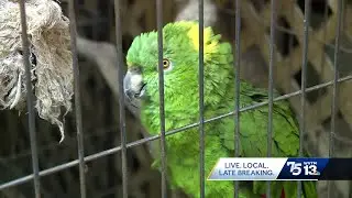 Unusual Alabama pet store closing