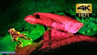 4K- Awesome Effect colour full Darklight Downhil 4KUHD 60fps | OFTENTUBE