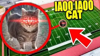 Notre DRONE trouve OIIAOIIA CAT dans LA VRAIE VIE !! * ils existent vraiment !! *