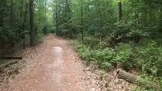 Trap Pond Thursdays: Trap Pond State Park Summer S2 Ep. 10
