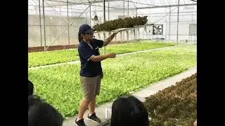 Kok Fah Farm Tour
