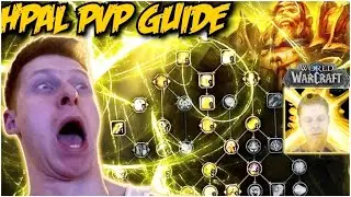 DRAGONFLIGHT HOLY PALADIN Guide by a 30 time R1 Hpal