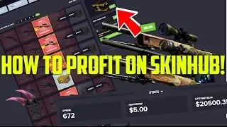 How to Profit On SkinHub (Not Sponsored Honest Opening)