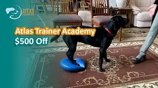 The Atlas Trainer Academy