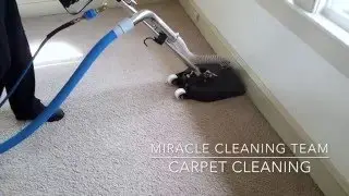 Carpet Cleaning Suffolk, VA- Miracle Cleaning Team- 757-542-5298