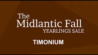 Fasig-Tipton Facts: Midatlantic Fall Yearling Sale
